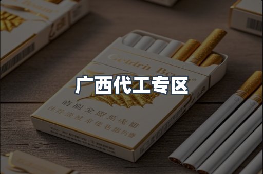 广西代工专区